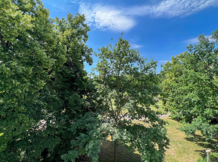 Blick vom Balkon Richtung Hochmeisterplatz