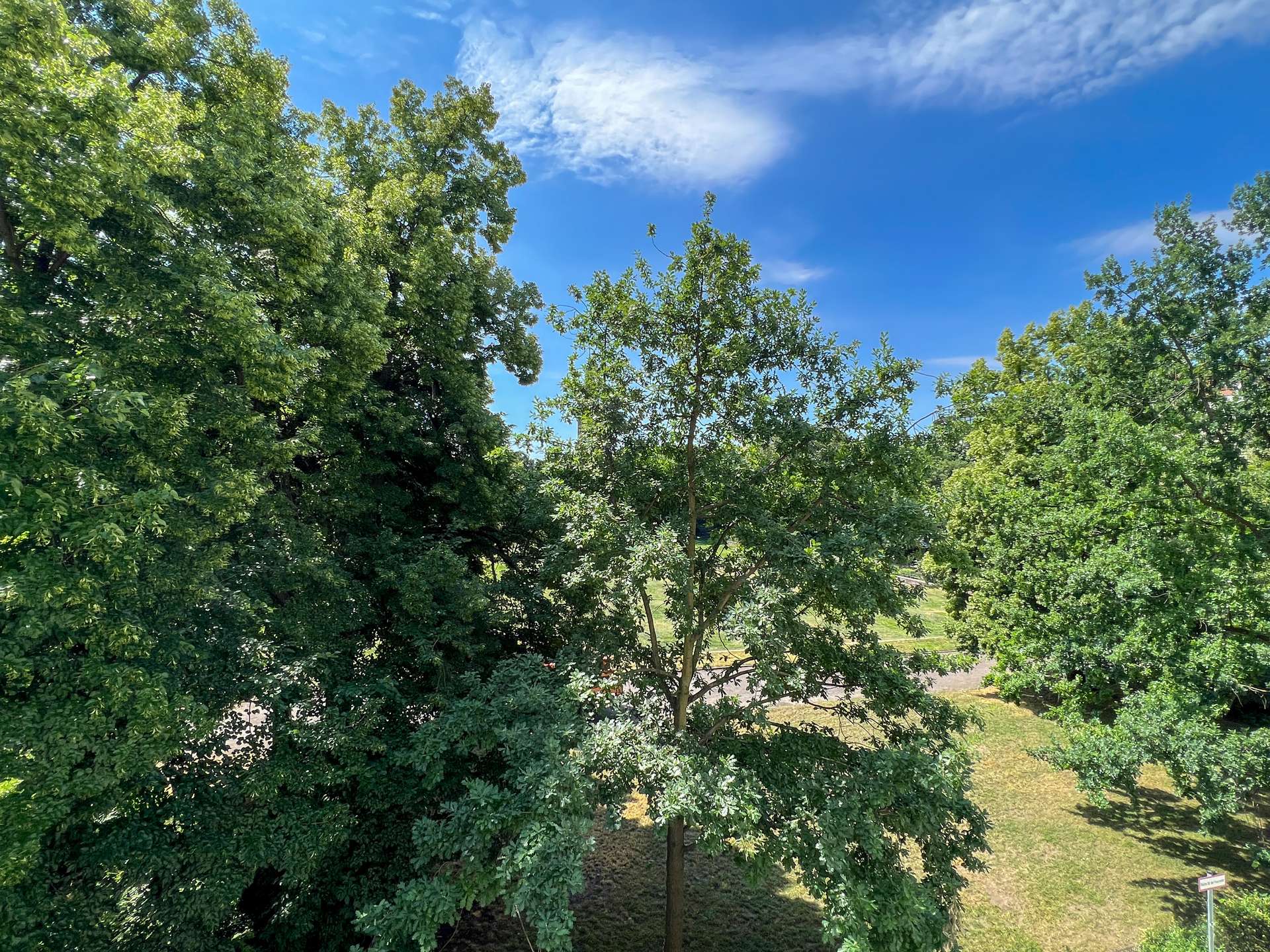 Blick vom Balkon Richtung Hochmeisterplatz